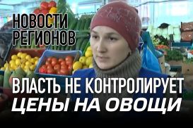 Власть не контролирует цены на овощи