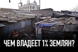 Чем владеет 1% землян?