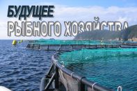 Спрос на морепродукты растет