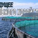 Спрос на морепродукты растет