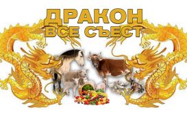 Казахстанской сельхозпродукции открыт экспорт в Китай