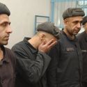 Самые пустые тюрьмы в СНГ в Узбекистане?