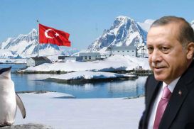Суровому Эрдогану нужно попасть в Антарктику
