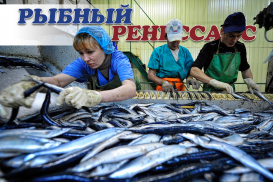 Производство рыбной продукции растет