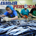 Производство рыбной продукции растет