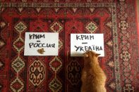 Россиянам подарят «День принятия Крыма, Тамани и Кубани в состав Российской империи»