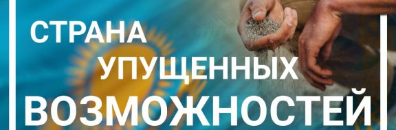 «Казахстан мог стать ведущей экономической державой в Центральной Азии»
