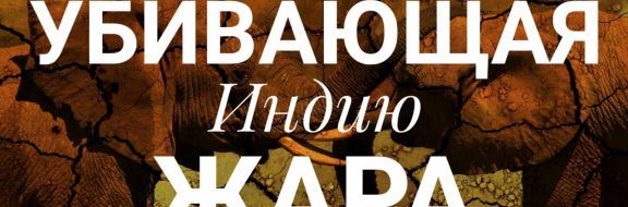 Населению предлагают охлаждающий жилет за $27 при доходе меньше $2 в день