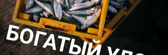 Производство рыбы выросло за год на 5%