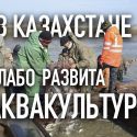 1/6 части рыбной отрасли наконец выделили субсидии на корма