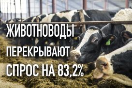 Горожане съедают мяса на 1,5 кг больше, чем сельчане