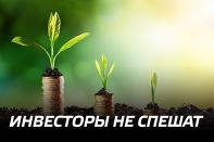 Рухнули инвестиции в переработку