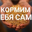 Пищепром: инвестиционный голод