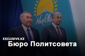 «Нур Отан»: досрочные выборы или перезагрузка партии власти?