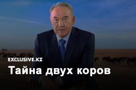 О чем на самом деле говорил Нурсултан Назарбаев на политсовете партии Nur Otan