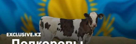 Рейтинг регионов Казахстана в разрезе обеспеченности коровами