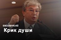 Инвестор обратился к Президенту Токаеву: «Нас хотят поставить на колени»       