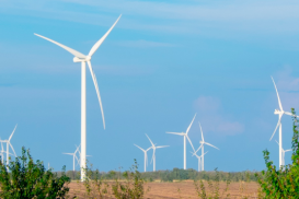 Китайцы помогут узбекам построить ветровые электростанции