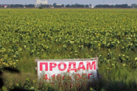 В Украине приняли Закон о земле