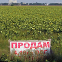 В Украине приняли Закон о земле