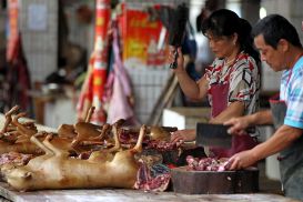 Власти Китая составили список животных, которых нельзя разводить для употребления в пищу