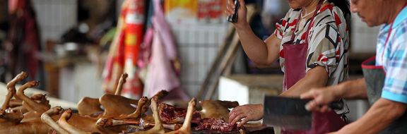 Власти Китая составили список животных, которых нельзя разводить для употребления в пищу