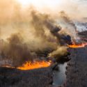 Пожар в Чернобыле перекинулся на верхушки деревьев