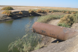 В Западно-Казахстанском регионе без воды могут остаться 50 тысяч человек