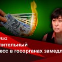 Гульмира Илеуова, социолог: «В обществе вырос запрос на перемены любой ценой»