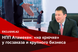 Почему даже Кулибаеву не удалось спасти казахстанский бизнес?
