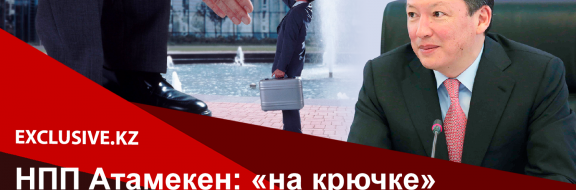Почему даже Кулибаеву не удалось спасти казахстанский бизнес?