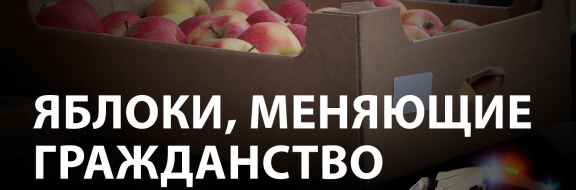 Как казахстанские контрабандисты губят наше сельское хозяйство