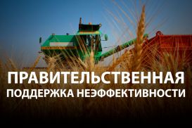 Продовольственная безопасность: как подмена понятий ограничивает развитие агробизнеса