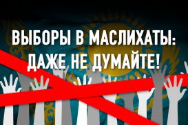 Маслихаты как идеальное местное самоуправление… для власти