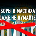 Маслихаты как идеальное местное самоуправление… для власти