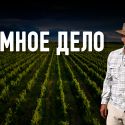 Arba Wine становится национальным брендом, меняя взгляд на Казахстан