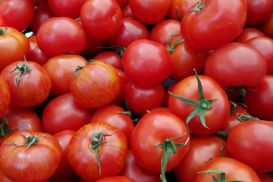 Россельхознадзор выявил вирусы у  томатов из Казахстана