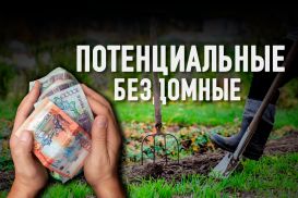 Обитатели дач: жизнь на 30 тыс. тенге, экономия на лекарствах, голод и надежда на бога