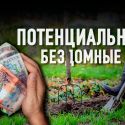 Обитатели дач: жизнь на 30 тыс. тенге, экономия на лекарствах, голод и надежда на бога