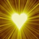 «Золотое сердце» ищет хозяина