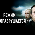 Может ли Навальный свалить Путина?