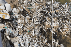 В Капшагае обнаружили свалку из медицинских отходов