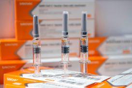 Китайская вакцина Sinovac включена в список препаратов, рекомендованных ВОЗ