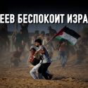 Америка, права человека и война Израиля с Палестиной