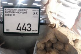 Подорожание картофеля: экспортируем много и задешево, импортируем мало и дорого