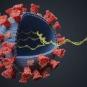 Имеющиеся вакцины перестанут «работать» при мутации коронавируса