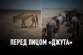 Засуха в Казахстане: природный катаклизм или халатность?