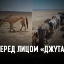 Засуха в Казахстане: природный катаклизм или халатность?