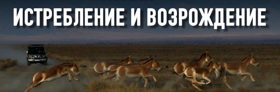 Станет ли Казахстан территорией исчезновения биоразнообразия?