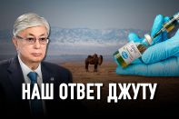 Токаев призвал госаппарат мобилизоваться в этот «критический момент»